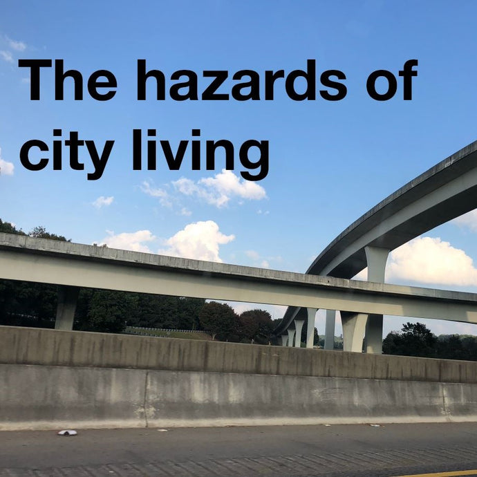 The Hazards of City Living